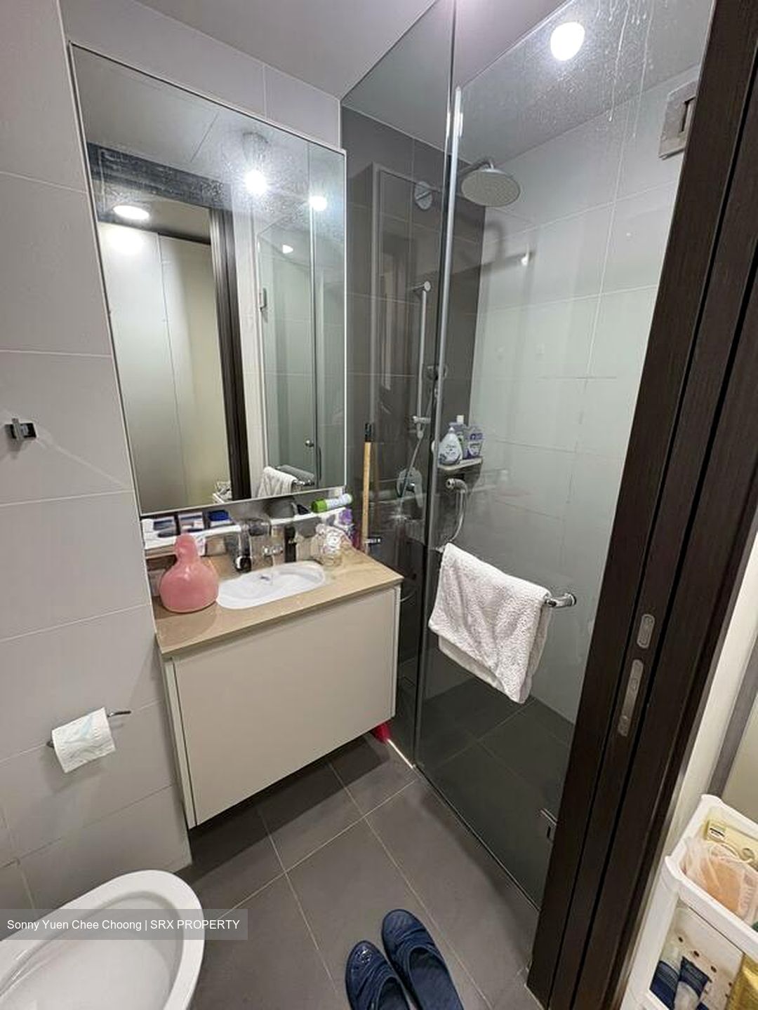 The Lilium (D19), Condominium #520311481